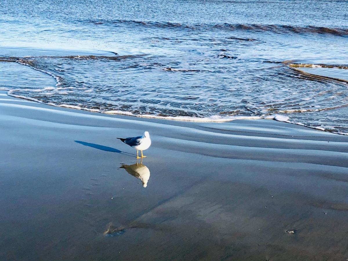 St. Simons Island Salty Breeze At Demere Landing Unit 168 - Salt Air Dr 빌라 외부 사진